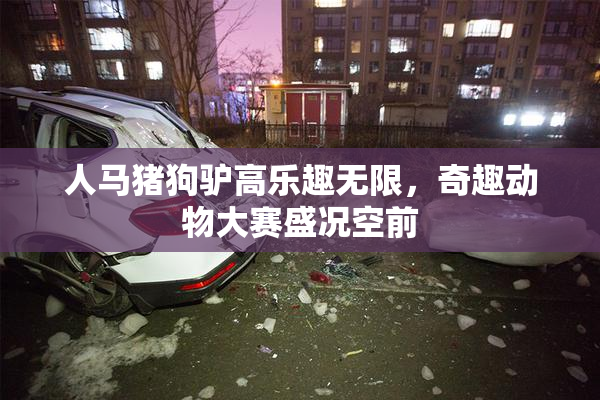 人马猪狗驴高乐趣无限，奇趣动物大赛盛况空前