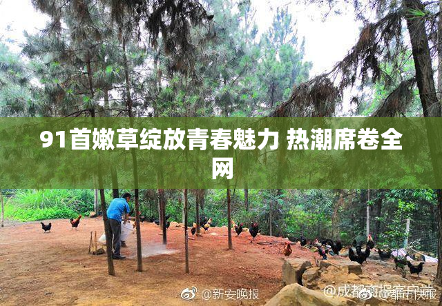 91首嫩草绽放青春魅力 热潮席卷全网