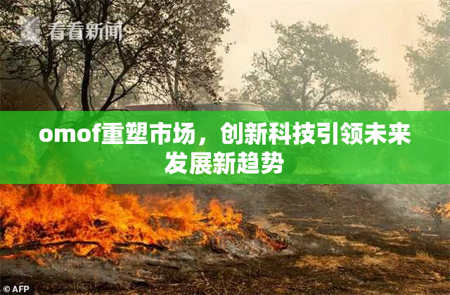omof重塑市场，创新科技引领未来发展新趋势