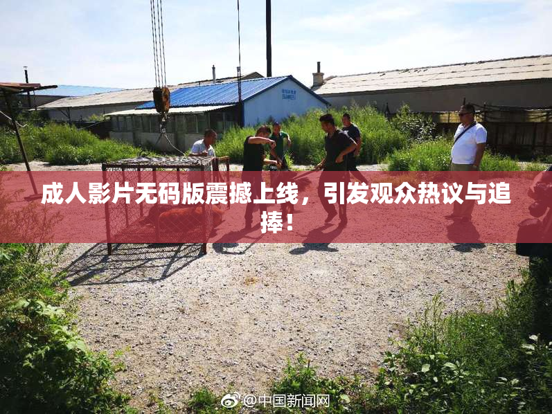 成人影片无码版震撼上线，引发观众热议与追捧！