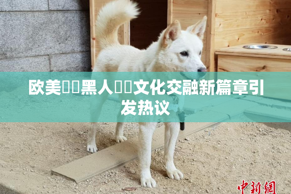欧美❌‌黑人❌‌文化交融新篇章引发热议