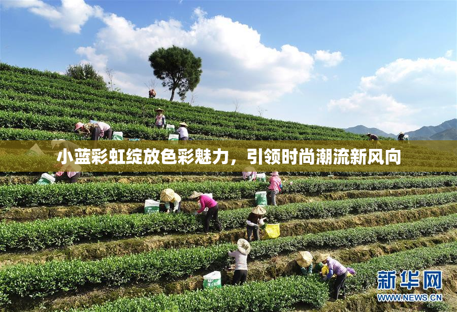 小蓝彩虹绽放色彩魅力，引领时尚潮流新风向
