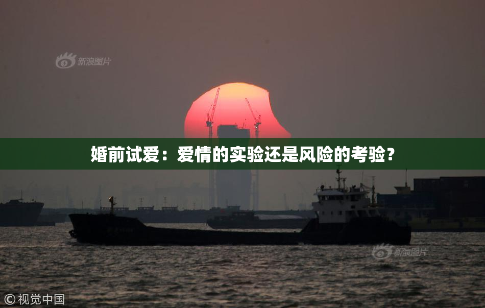 婚前试爱：爱情的实验还是风险的考验？