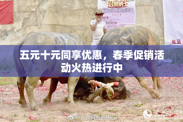 五元十元同享优惠，春季促销活动火热进行中