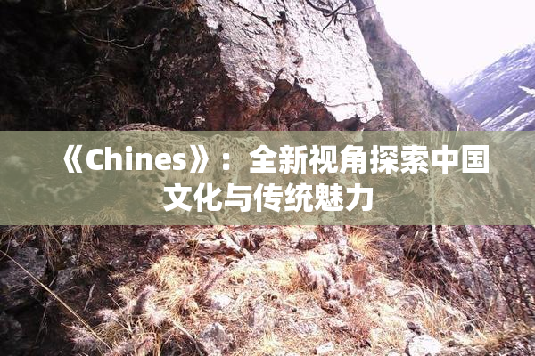 《Chines》：全新视角探索中国文化与传统魅力