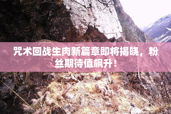 咒术回战生肉新篇章即将揭晓，粉丝期待值飙升！