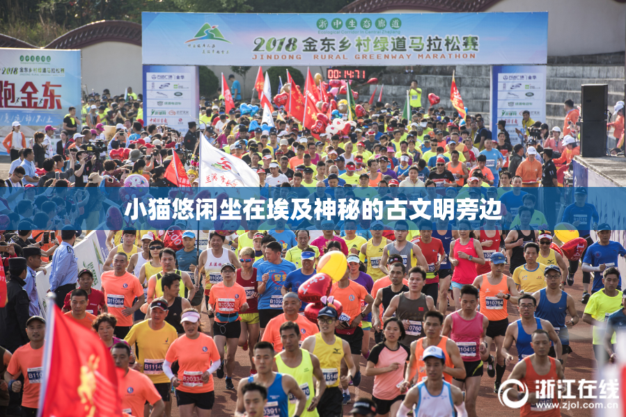 小猫悠闲坐在埃及神秘的古文明旁边