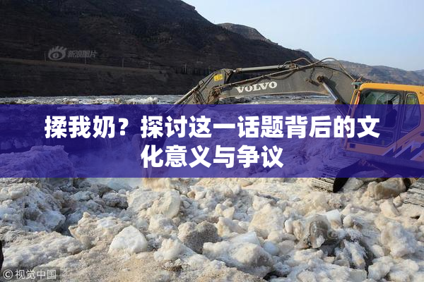 揉我奶？探讨这一话题背后的文化意义与争议