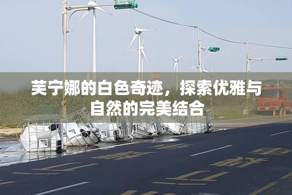 芙宁娜的白色奇迹，探索优雅与自然的完美结合
