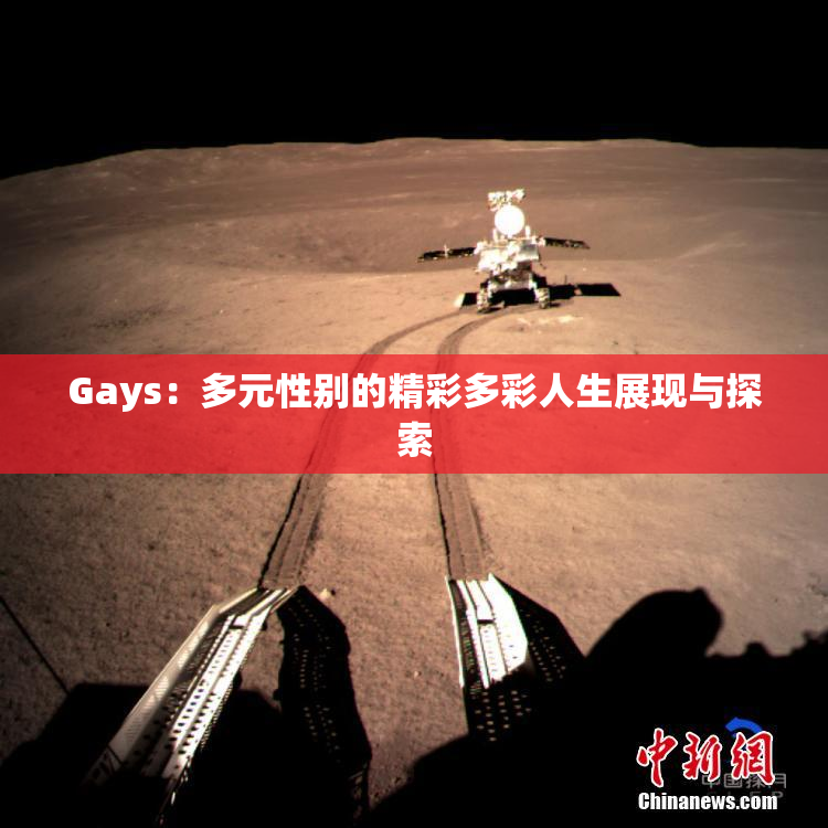 Gays：多元性别的精彩多彩人生展现与探索