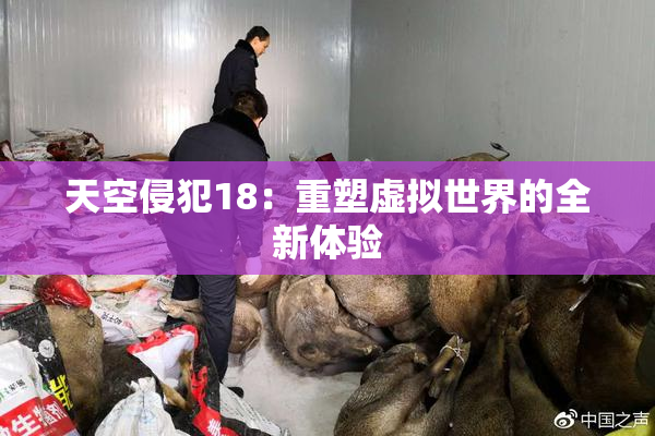 天空侵犯18：重塑虚拟世界的全新体验