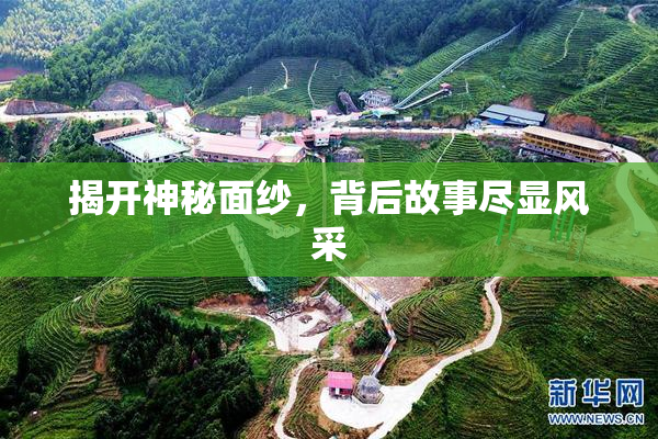 揭开神秘面纱，背后故事尽显风采