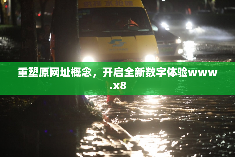 重塑原网址概念，开启全新数字体验www.x8