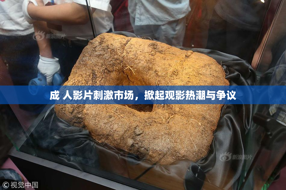 成 人影片刺激市场，掀起观影热潮与争议