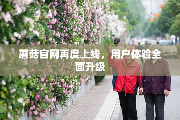 蘑菇官网再度上线，用户体验全面升级