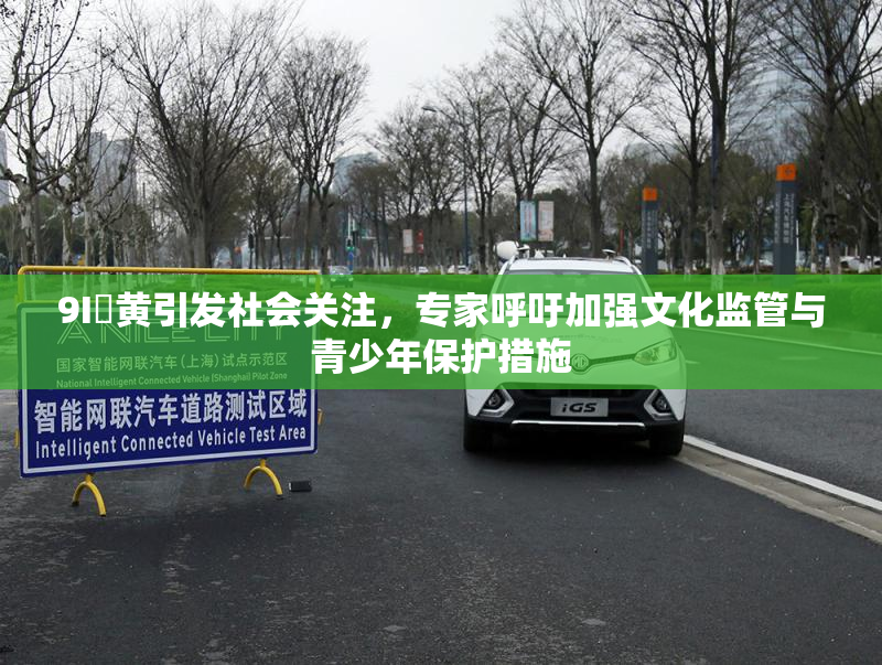 9I婬黄引发社会关注，专家呼吁加强文化监管与青少年保护措施
