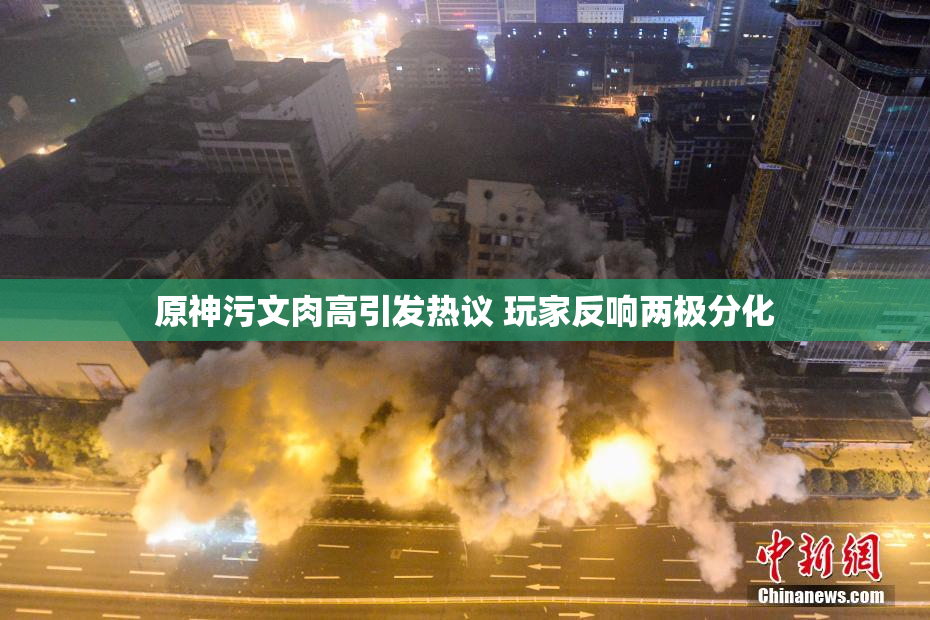 原神污文肉高引发热议 玩家反响两极分化