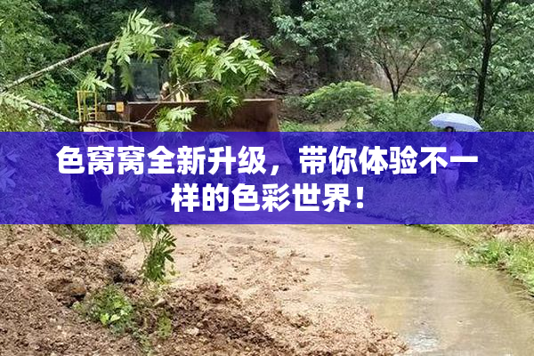 色窝窝全新升级，带你体验不一样的色彩世界！