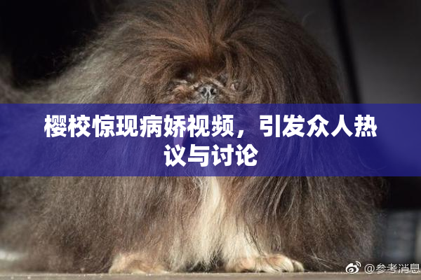 樱校惊现病娇视频，引发众人热议与讨论
