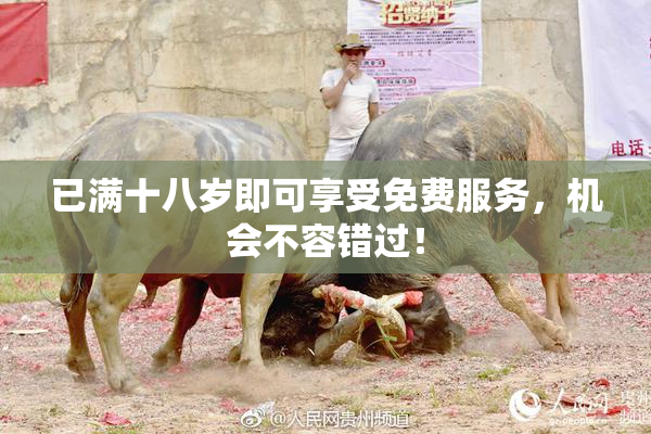 已满十八岁即可享受免费服务，机会不容错过！