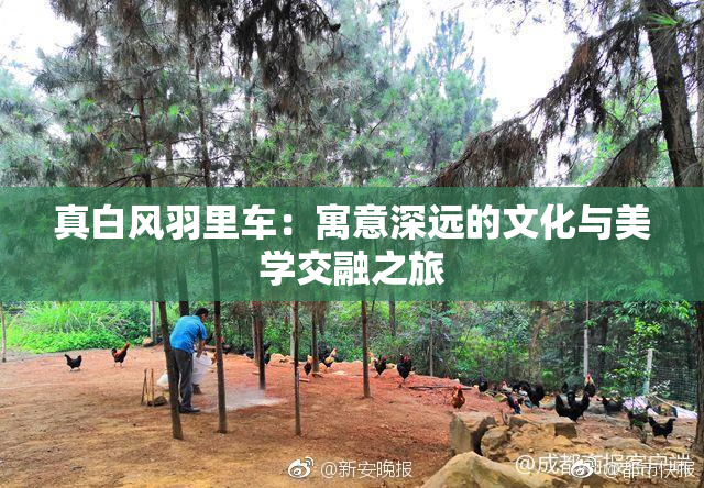 真白风羽里车：寓意深远的文化与美学交融之旅