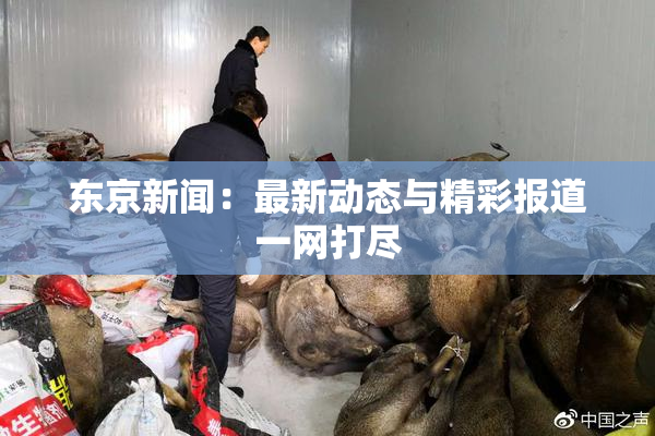 东京新闻：最新动态与精彩报道一网打尽