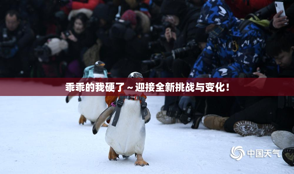 乖乖的我硬了～迎接全新挑战与变化！