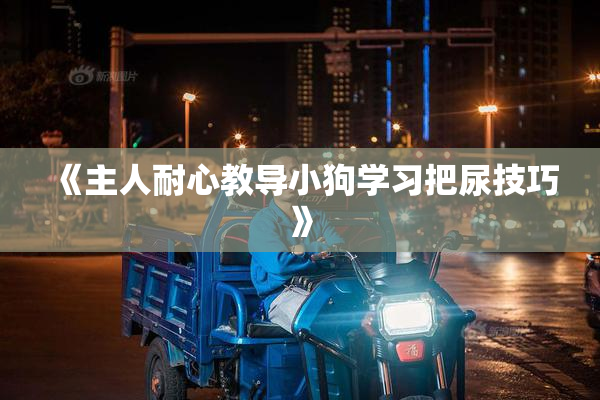 《主人耐心教导小狗学习把尿技巧》
