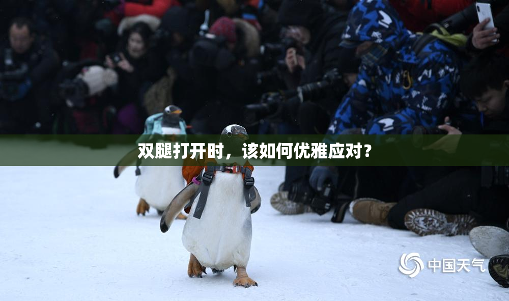 双腿打开时，该如何优雅应对？