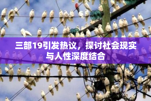 三部19引发热议，探讨社会现实与人性深度结合