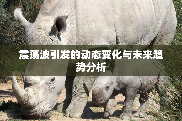 震荡波引发的动态变化与未来趋势分析