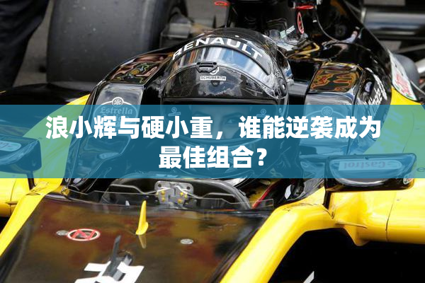浪小辉与硬小重，谁能逆袭成为最佳组合？