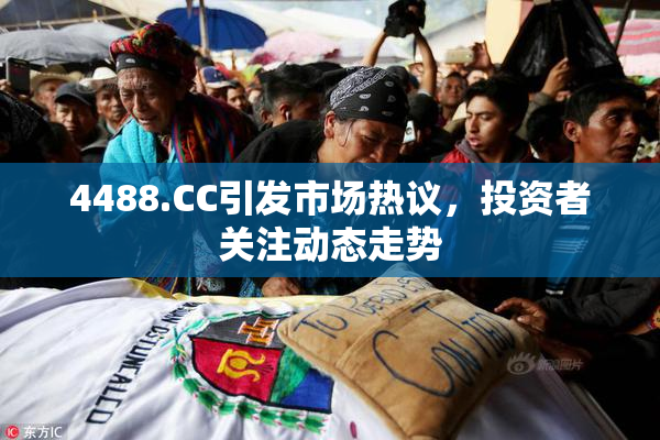 4488.CC引发市场热议，投资者关注动态走势
