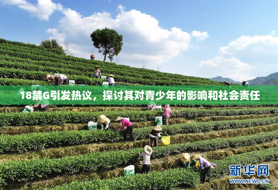 18禁G引发热议，探讨其对青少年的影响和社会责任