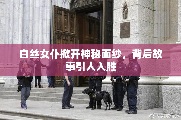 白丝女仆掀开神秘面纱，背后故事引人入胜