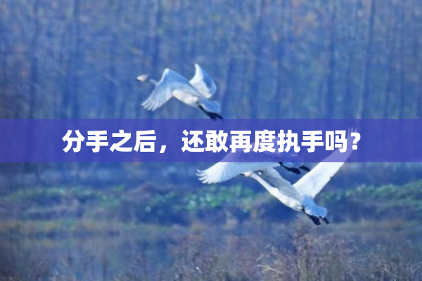分手之后，还敢再度执手吗？