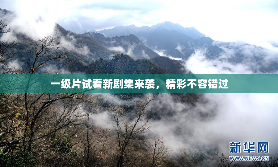 一级片试看新剧集来袭，精彩不容错过