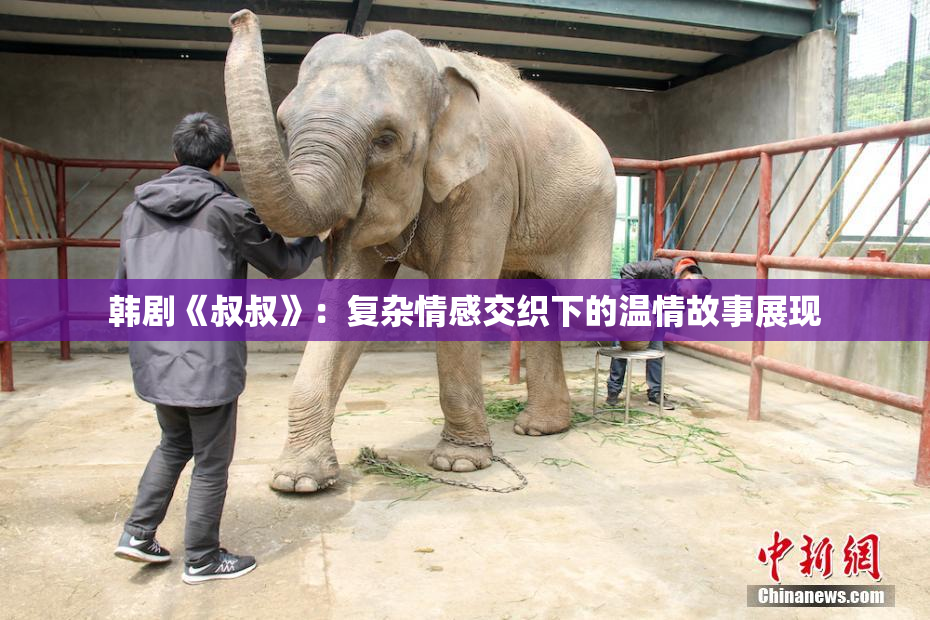 韩剧《叔叔》：复杂情感交织下的温情故事展现