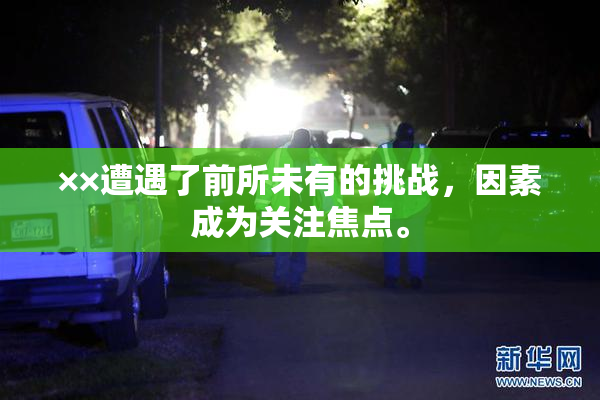 ××遭遇了前所未有的挑战，因素成为关注焦点。