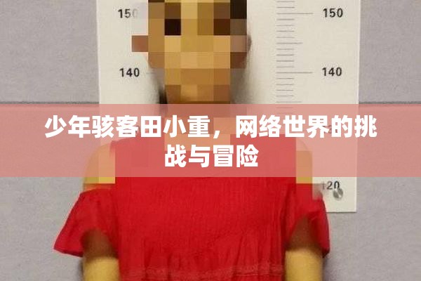 少年骇客田小重，网络世界的挑战与冒险