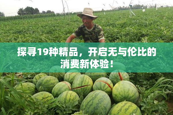 探寻19种精品，开启无与伦比的消费新体验！