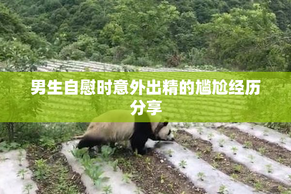 男生自慰时意外出精的尴尬经历分享