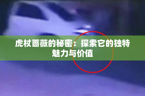 虎杖蔷薇的秘密：探索它的独特魅力与价值