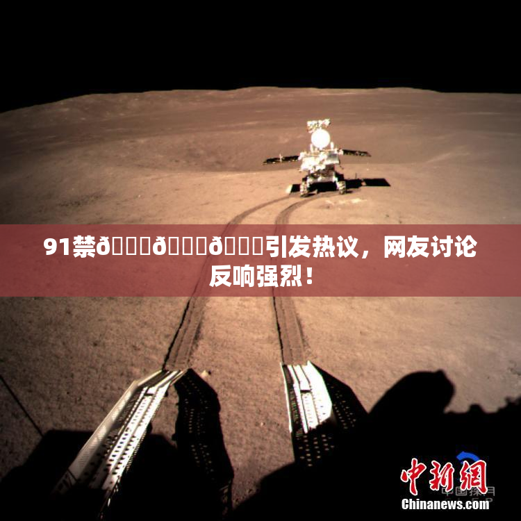 91禁🍆🍑🔞引发热议，网友讨论反响强烈！