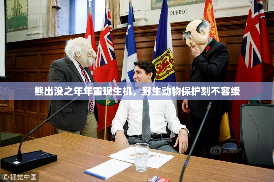 熊出没之年年重现生机，野生动物保护刻不容缓