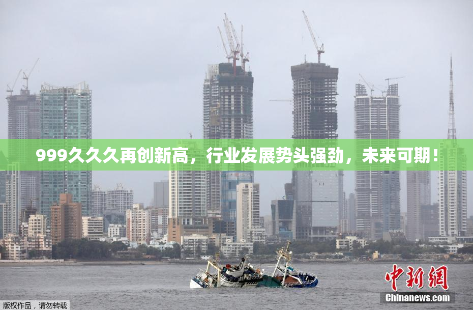 999久久久再创新高，行业发展势头强劲，未来可期！