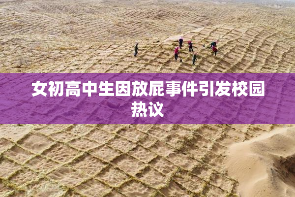 女初高中生因放屁事件引发校园热议