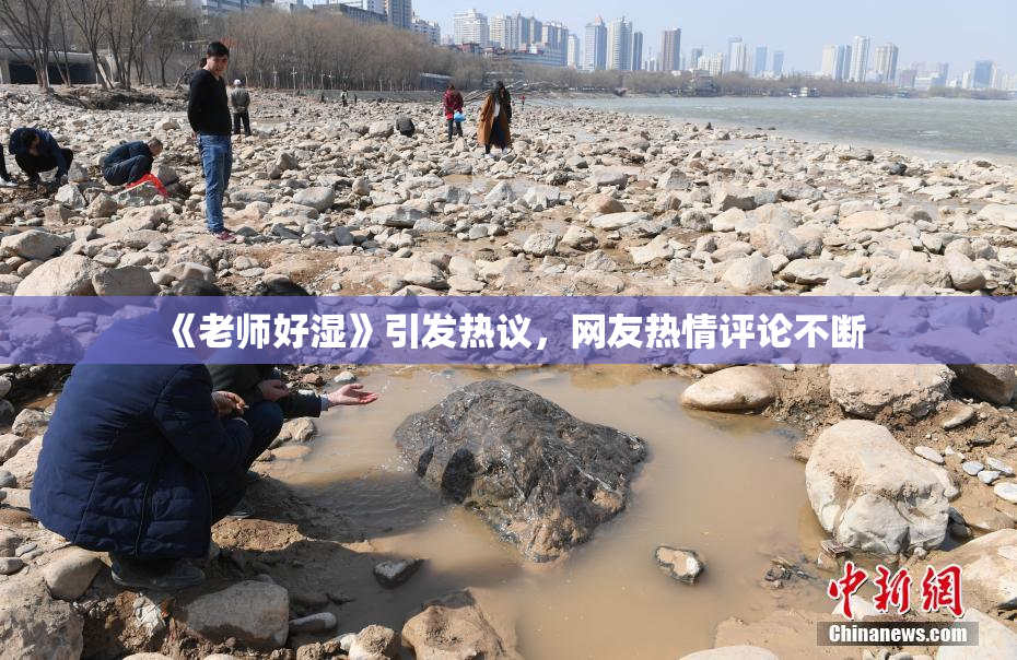 《老师好湿》引发热议，网友热情评论不断