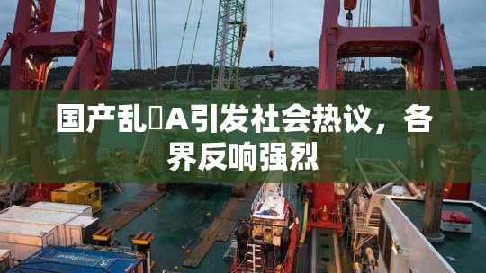 国产乱婬A引发社会热议，各界反响强烈