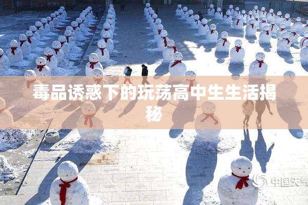 毒品诱惑下的玩荡高中生生活揭秘